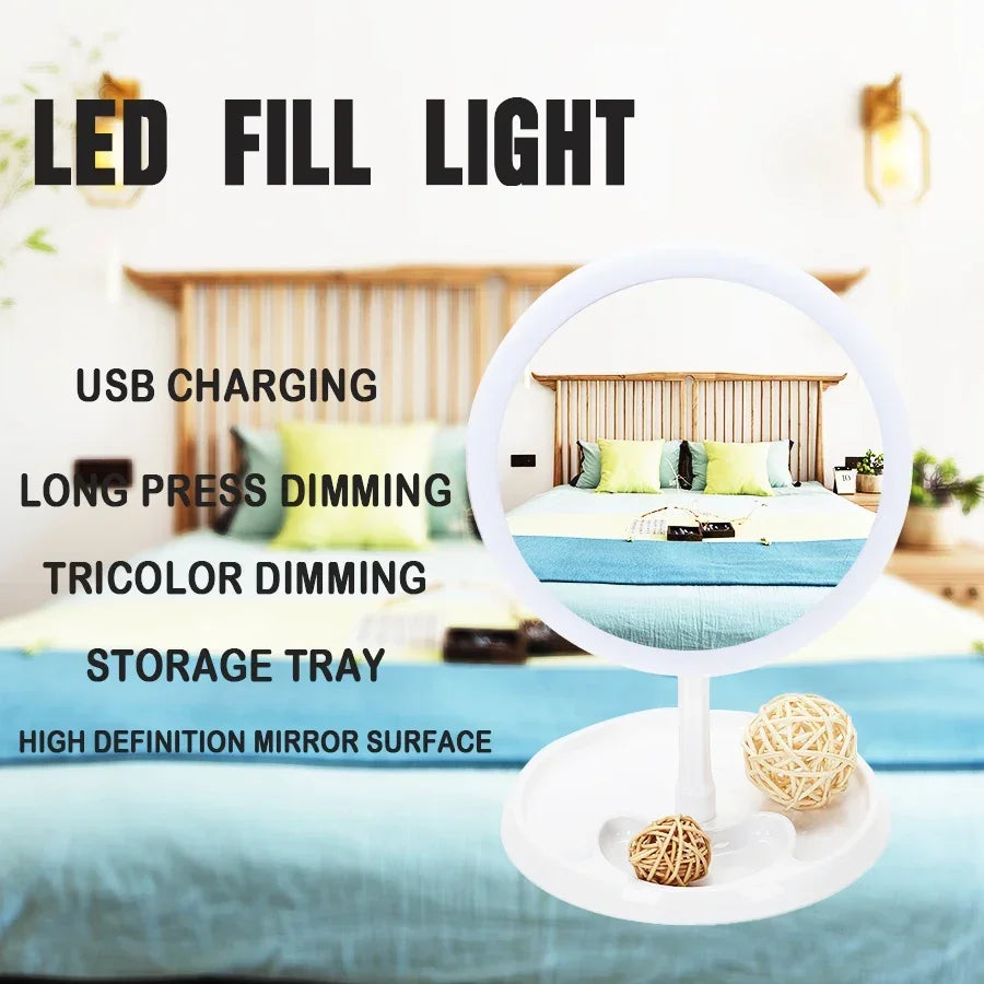 LED Makeup Mirror With Light Lamp With Storage Desktop Rotating Cosmetic Mirror Light Adjustable Dimming USB Vanity Mirror